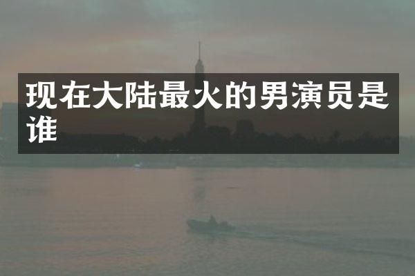 现在大陆最火的男演员是谁