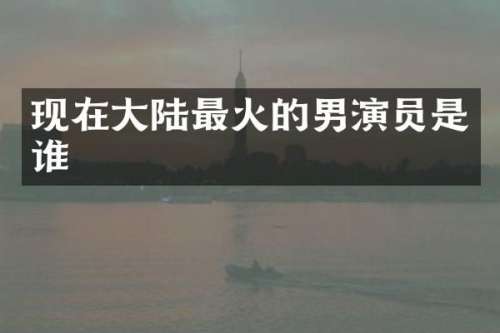 现在大陆最火的男演员是谁