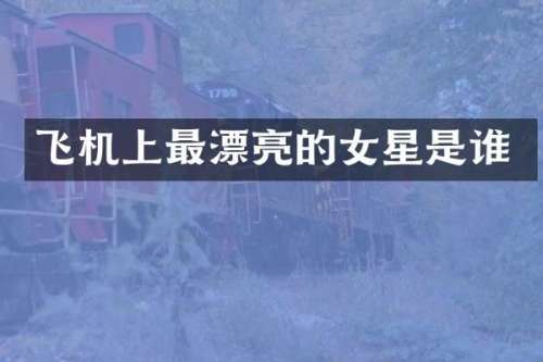 飞机上最漂亮的女星是谁