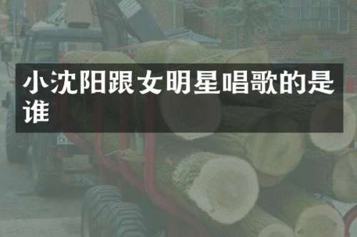 小沈阳跟女明星唱歌的是谁