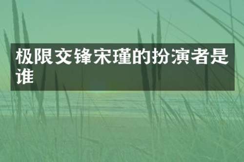 极限交锋宋瑾的扮演者是谁