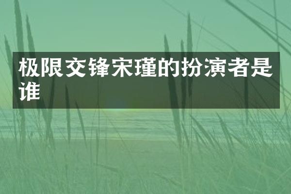 极限交锋宋瑾的扮演者是谁