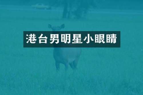 港台男明星小眼睛