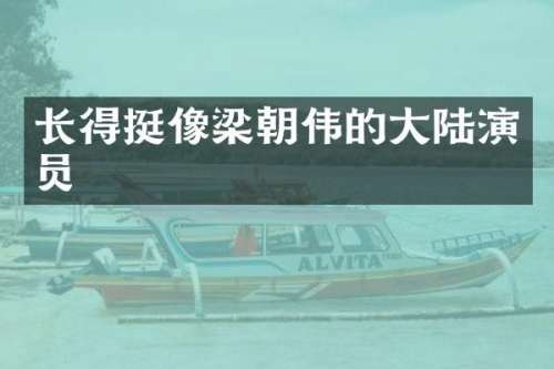 长得挺像梁朝伟的大陆演员