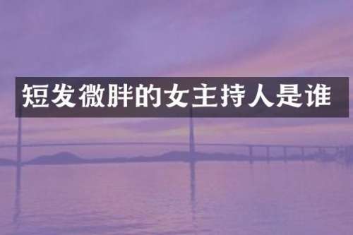 短发微胖的女主持人是谁
