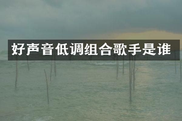 好声音低调组合歌手是谁
