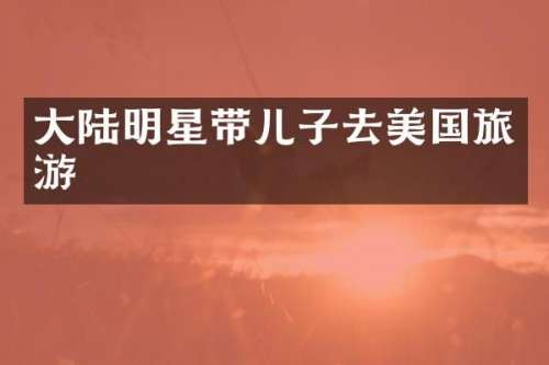 大陆明星带儿子去美国旅游