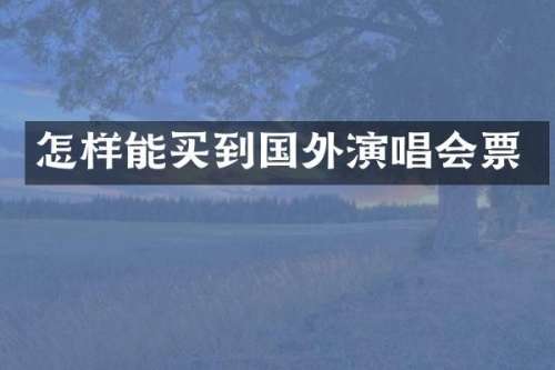 怎样能买到国外演唱会票