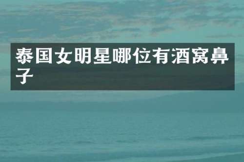 泰国女明星哪位有酒窝鼻子