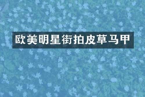 欧美明星街拍皮草马甲