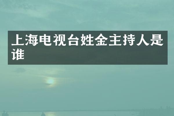 上海电视台姓金主持人是谁