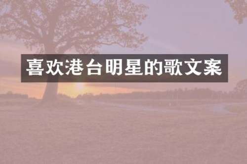 喜欢港台明星的歌文案