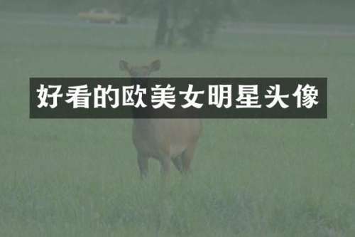 好看的欧明星头像