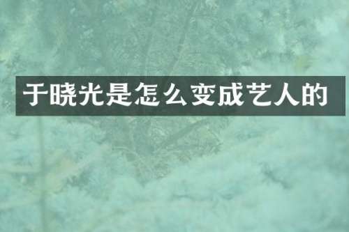 于晓光是怎么变成艺人的