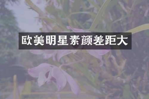 欧美明星素颜差距大