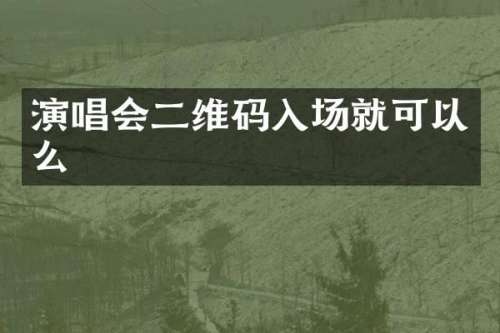 演唱会二维码入场就可以么