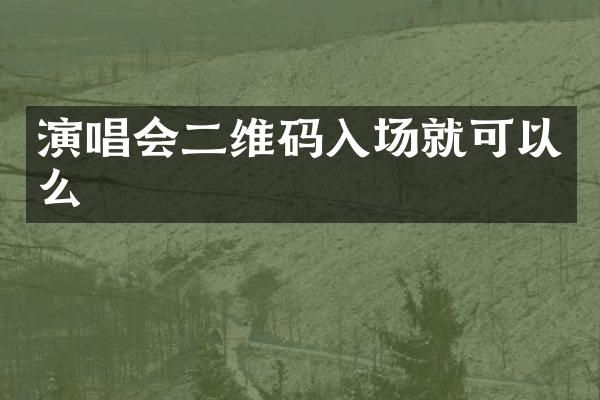 演唱会二维码入场就可以么