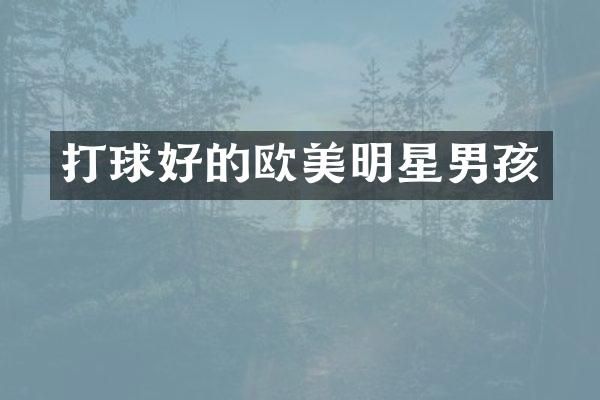 打球好的欧美明星男孩