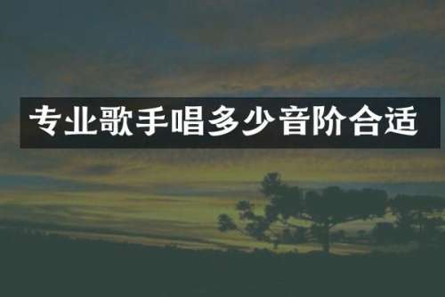 专业歌手唱多少音阶合适