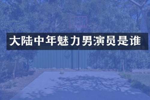 大陆中年魅力男演员是谁