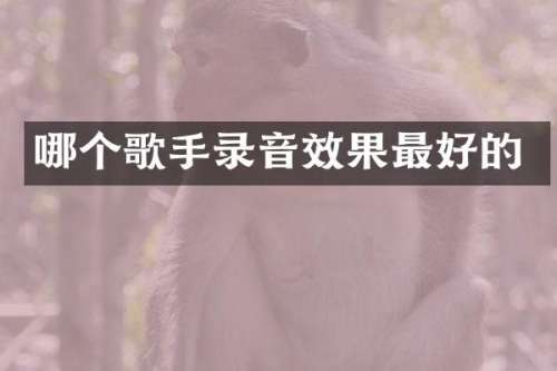 哪个歌手录音效果最好的