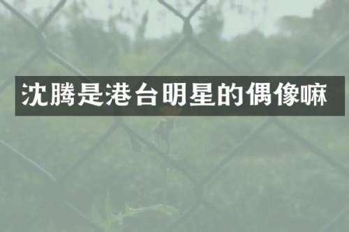 沈腾是港台明星的偶像嘛