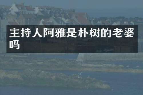 主持人阿雅是朴树的老婆吗