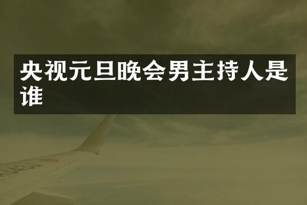央视元旦晚会男主持人是谁