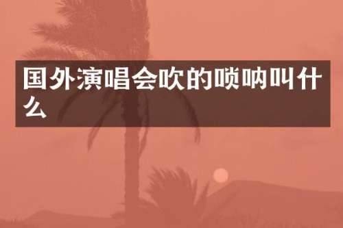 国外演唱会吹的唢呐叫什么