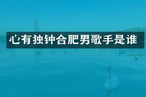 心有独钟合肥男歌手是谁