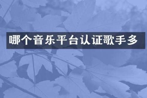 哪个音乐平台认证歌手多