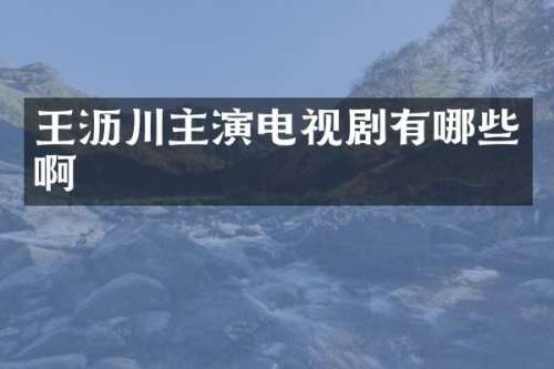 王沥川主演电视剧有哪些啊