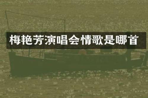 梅艳芳演唱会情歌是哪首