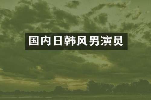 国内日韩风男演员
