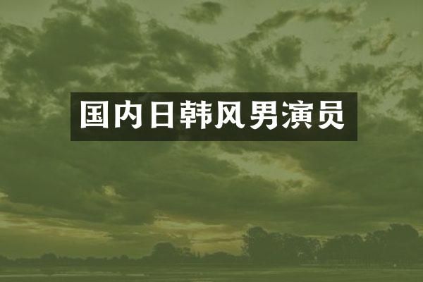 国内日韩风男演员