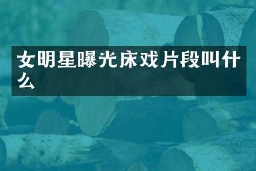 女明星曝光片段叫什么