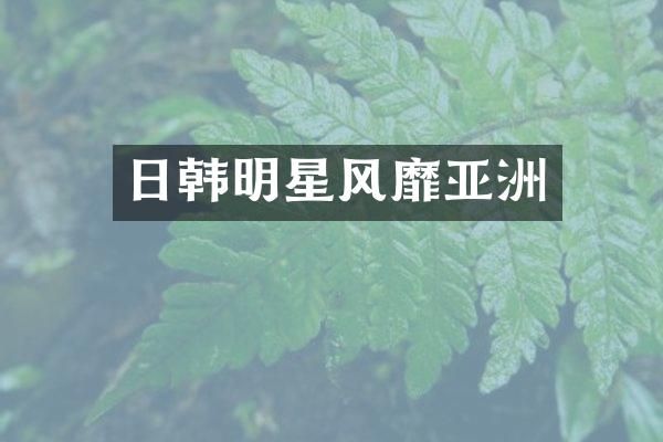 日韩明星风靡亚洲