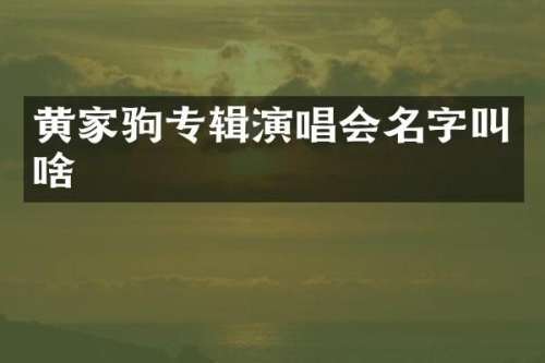黄家驹专辑演唱会名字叫啥