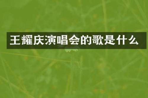 王耀庆演唱会的歌是什么