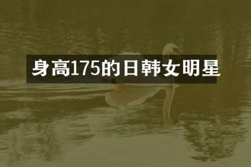 身高175的日韩女明星