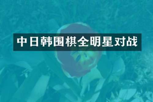 中日韩围棋全明星对战