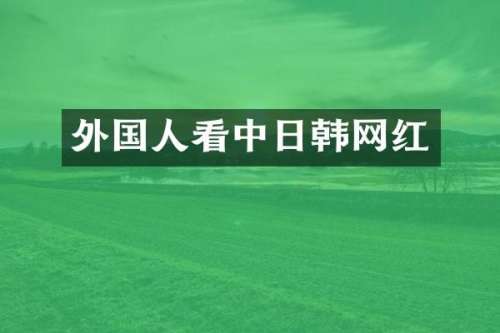 外国人看中日韩网红