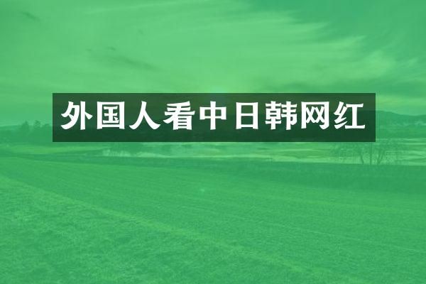 外国人看中日韩网红
