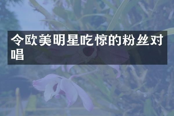 令欧美明星吃惊的粉丝对唱