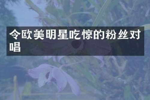 令欧美明星吃惊的粉丝对唱