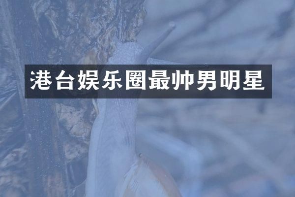 港台娱乐圈最帅男明星