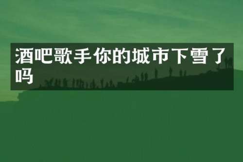 酒吧歌手你的城市下雪了吗