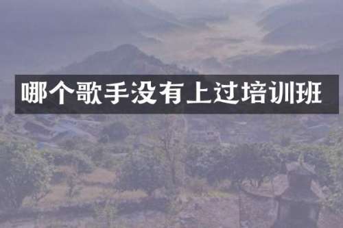 哪个歌手没有上过培训班
