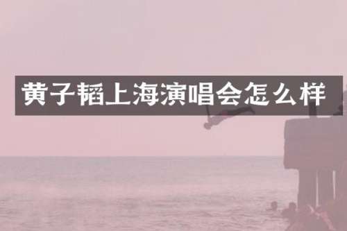黄子韬上海演唱会怎么样