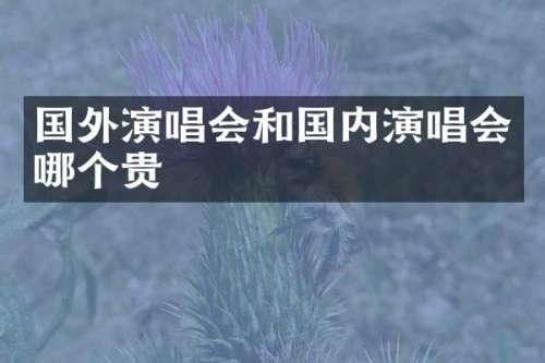 国外演唱会和国内演唱会哪个贵